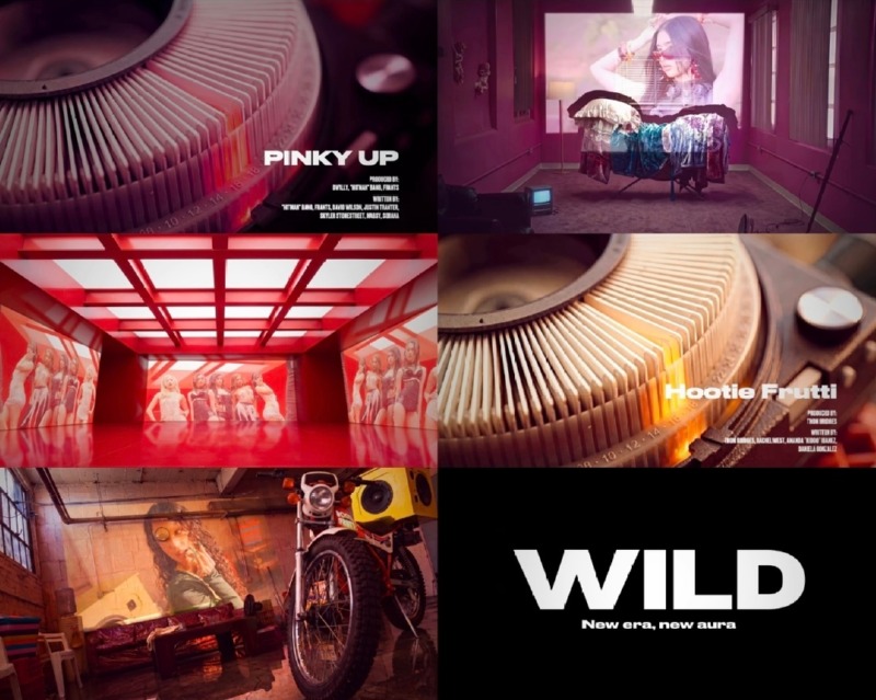 WILD 하이라이트 메들리 갈무리 (1).jpg