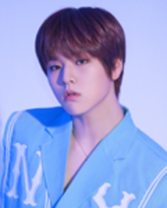도현